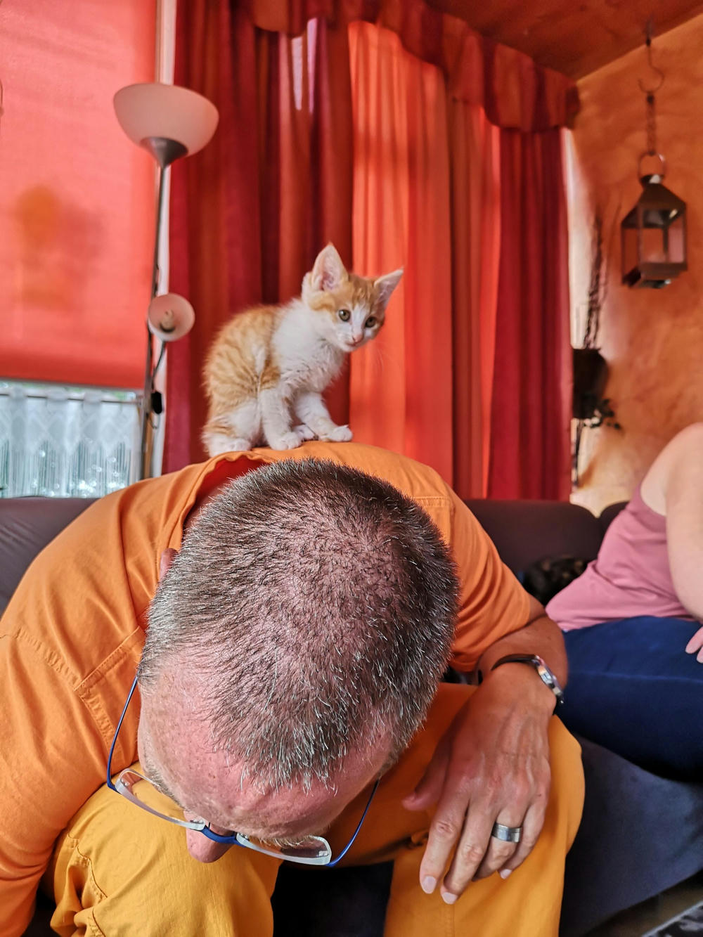 MicroKatze auf Rücken